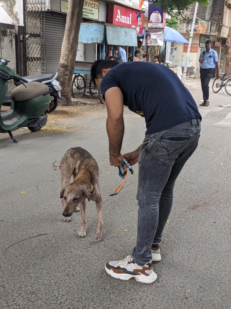 birthday celebration